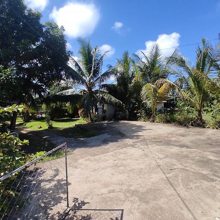Apoestin Homestay Siquijor Extérieur photo